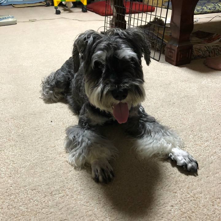 Cc4eb769 7758 4bd2 a1ad 77ca0a4cc505 1690581398413