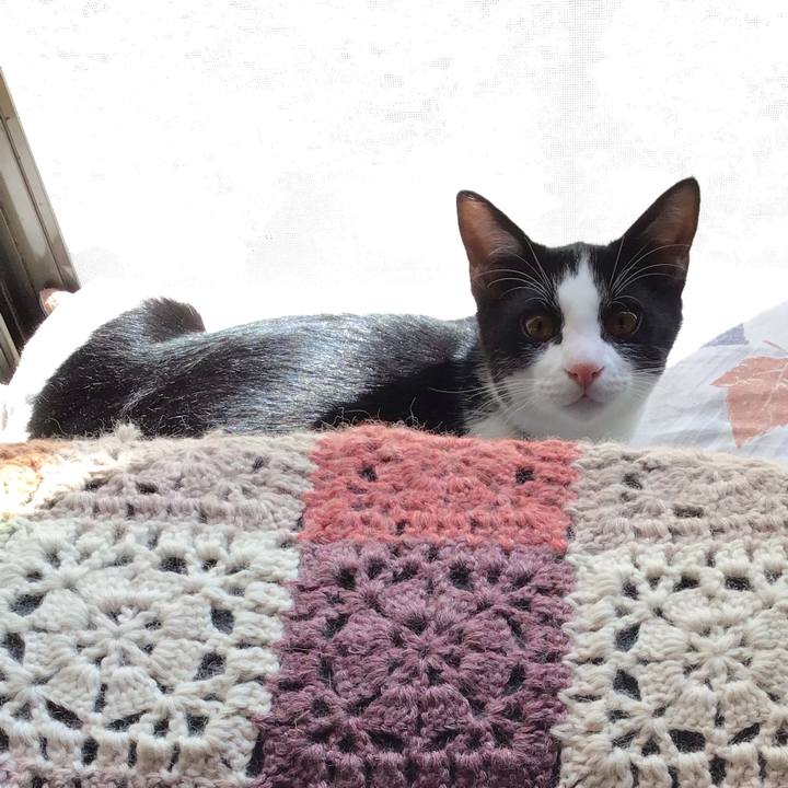 Cc4ed171 4153 436b 83a8 cfff071f21e8 1632897099166