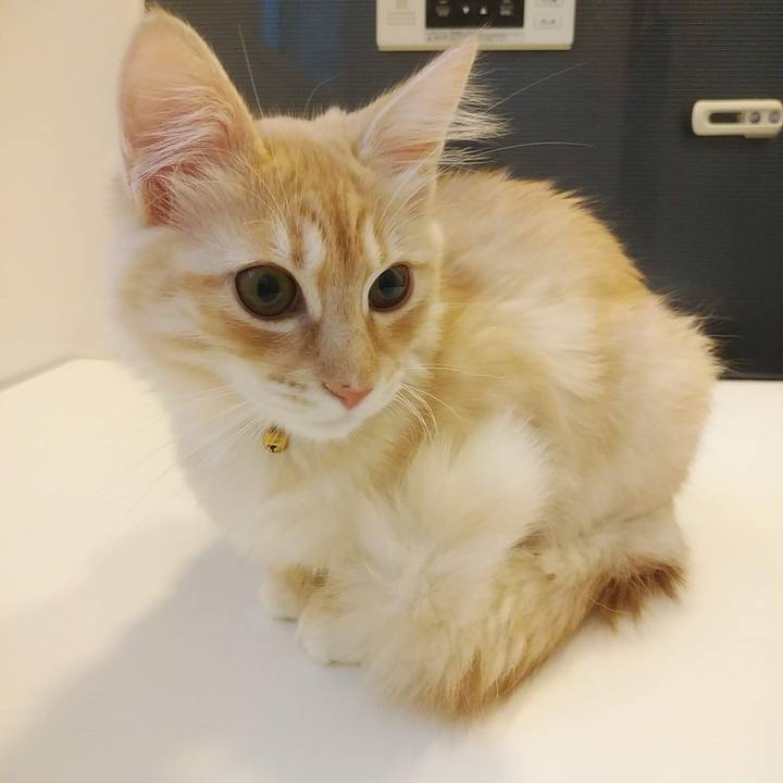 Cc4ed3a6 e346 428a 9b3c 3f323127316c 1609928751901