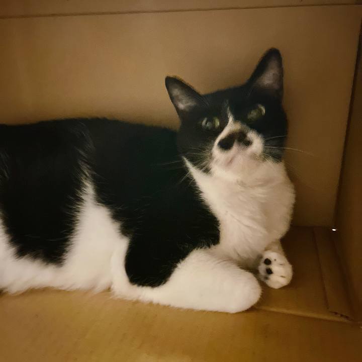 Cc4edca3 d88d 4290 b781 b3765424317a 1697499629612