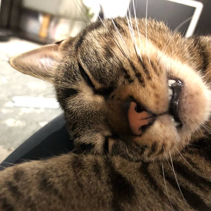 Cc4ee85c 1b7f 4ed4 ac81 e729bd6fadfe 1532014006413