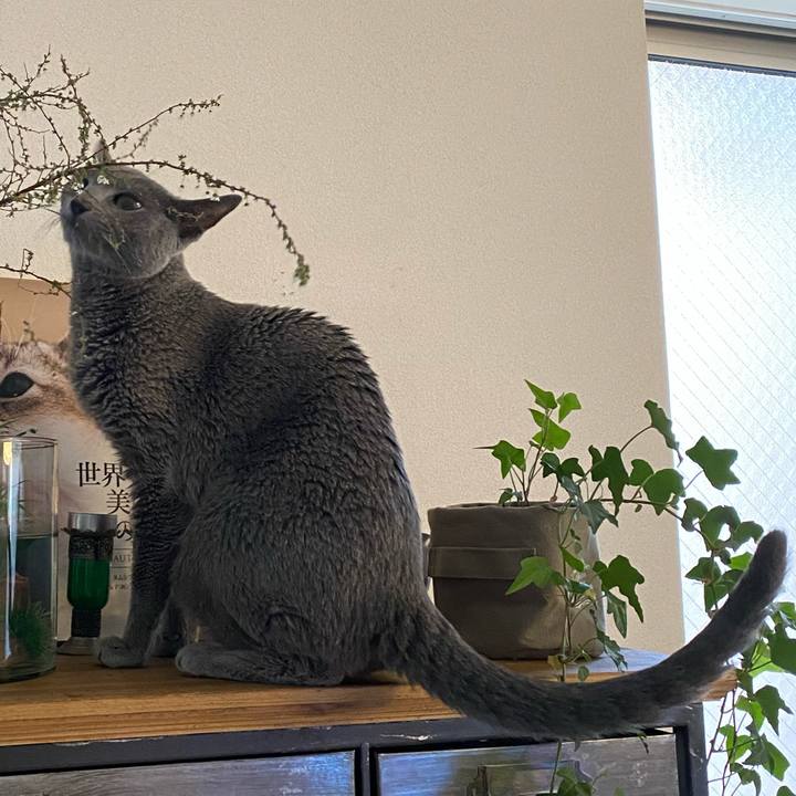 Cc4f04e6 2019 4d1b acdc e39330d0da86 1616652231395