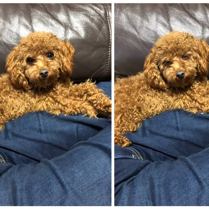 Cc4f07f0 777a 48bb 93c1 830ed7cd266b 1518269973742