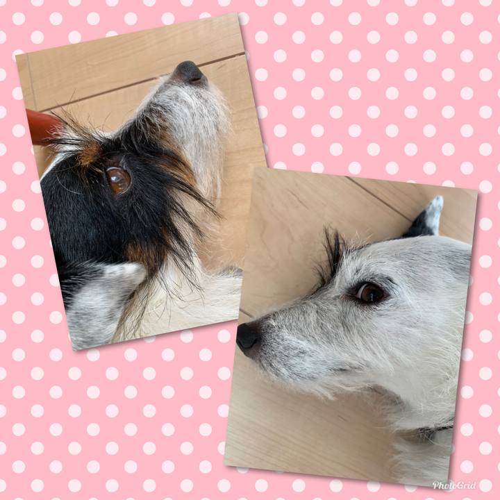 Cc4f0899 aba5 475f aa31 8fdd007ca960 1564966550860