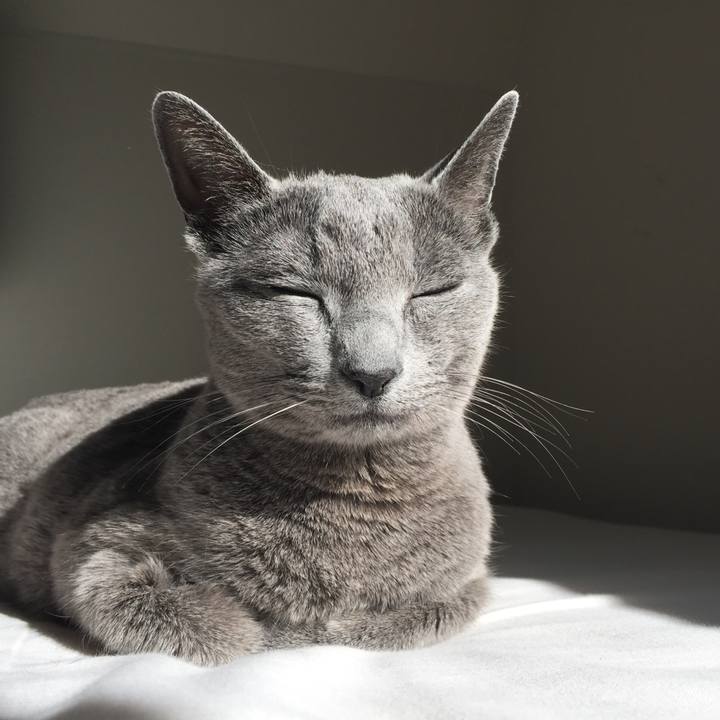 Cc4f2c7a 463e 4b51 b63f f54936def2b0 1543718179001