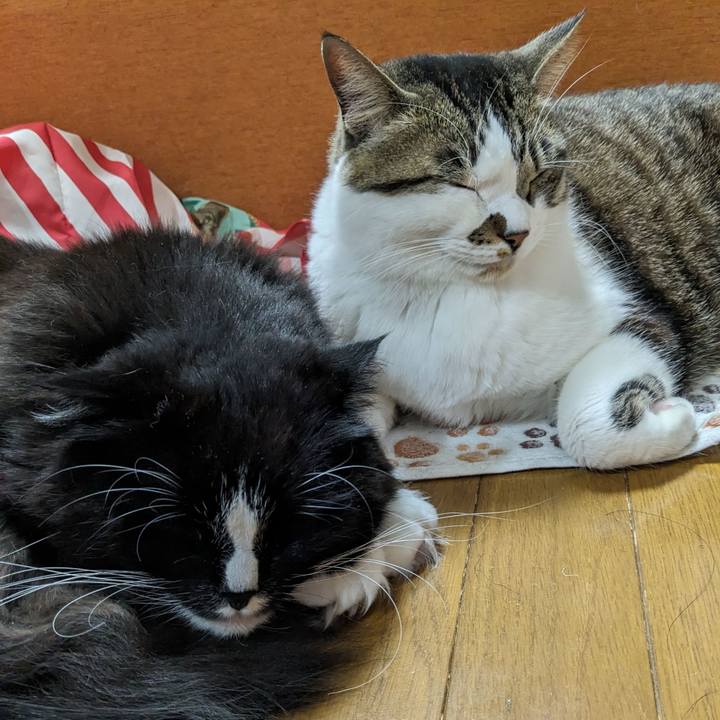 Cc4f477a 90d4 4543 a026 b6ad4c3407cd 1711321231756