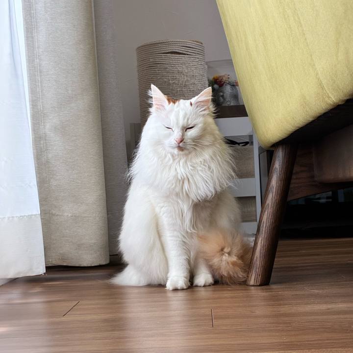 Cc4f5c63 253c 43c7 b9fd 58109315af2e 1772932311887