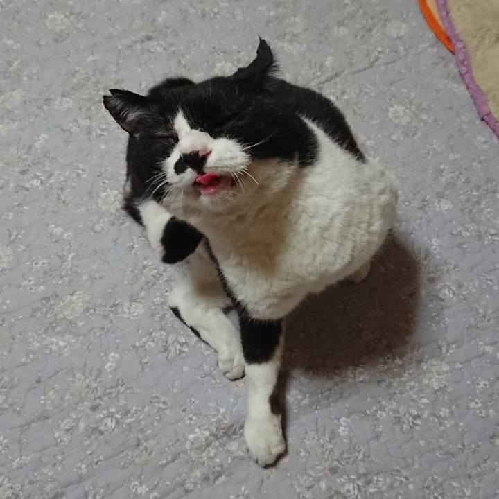 Cc4f9432 c6d9 4d8b a7f6 2720032de72c 1604790655211