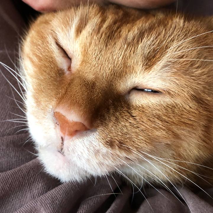 Cc4fe3f3 ce67 48a0 a73f 1a848c34e748 1701471358801