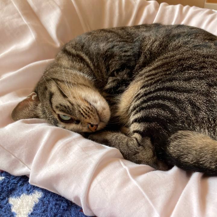 Cc4fe8ec 1b12 4d8d 91c3 8bbd5a8b191a 1642818561868