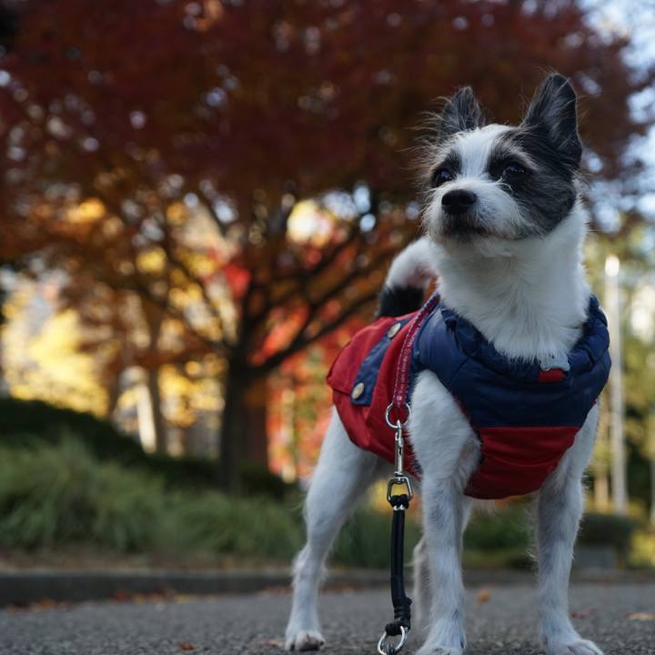 Cc5048a5 db1a 46c1 bd0c 8e36b656e8a3 1671017847455