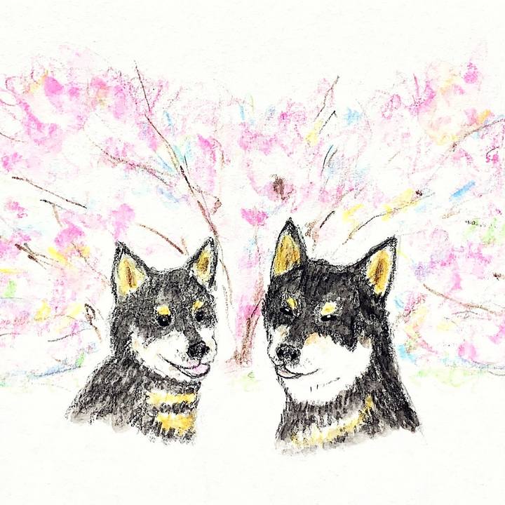 Cc5067c7 2286 4fde a88c 462ead70ca18 1656906084139