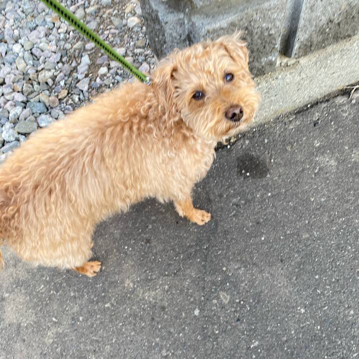 Cc507dcd 969f 4e03 a6e0 3106b416db97 1618873187608