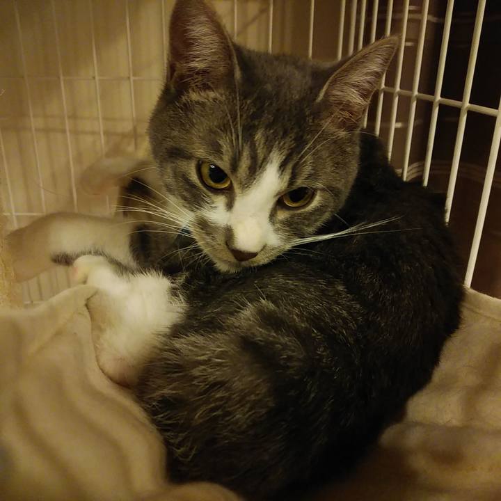 Cc50a1b2 cf24 41c1 9617 d529b4828a39 1576770566661