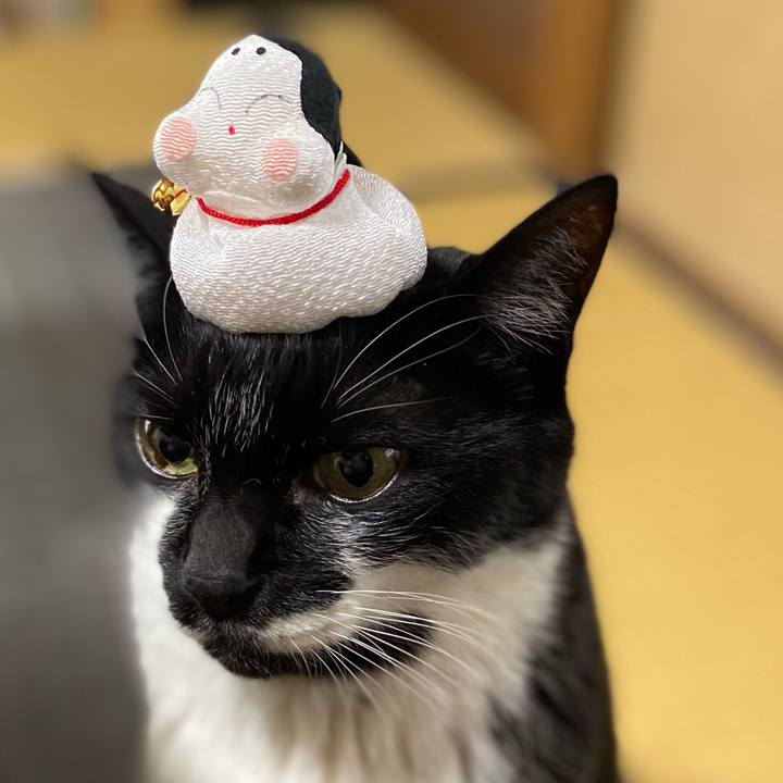 Cc50bdda 2f2d 4e75 b638 f04b80d6a231 1643848837472