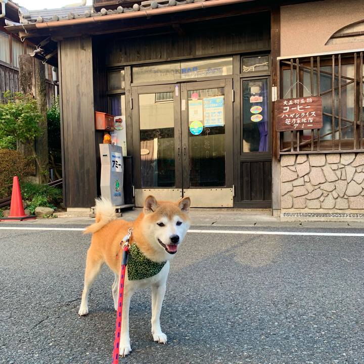 Cc50f11f ef00 44c6 a234 2efc3a240bdd 1695896235721