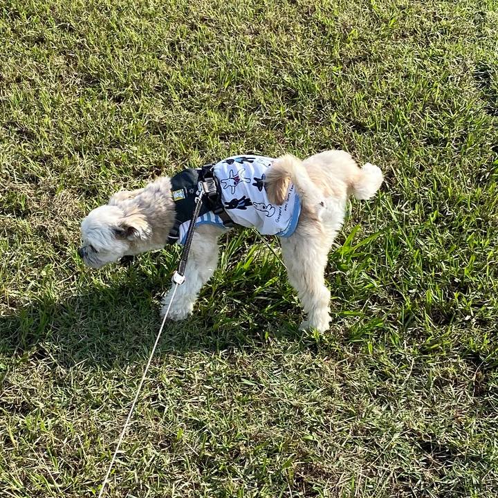 Cc50f6f8 3fba 42a0 a1ce 53d01fd0c6e5 1572663992119