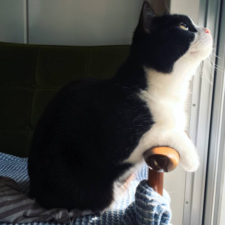 Cc511737 45db 4f70 bd4c e4589c729f1a 1584776230580