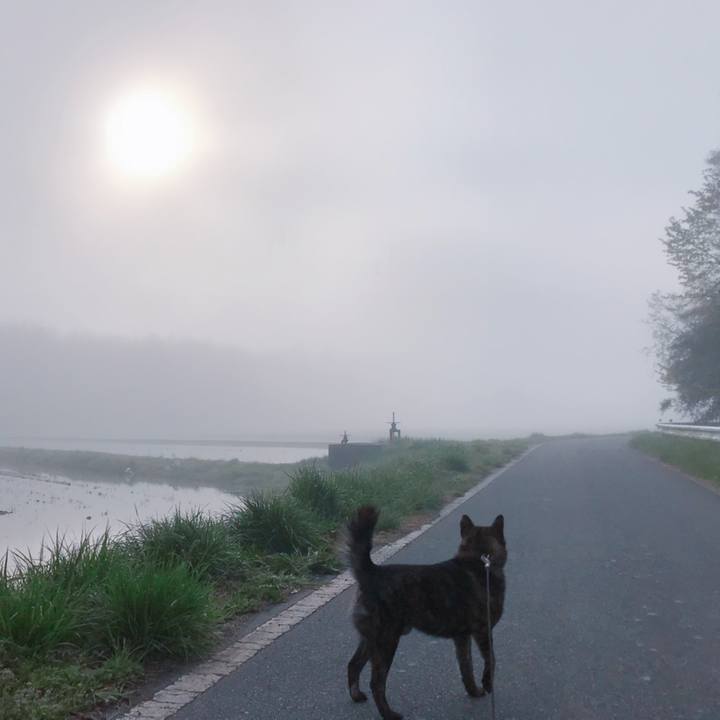 Cc513959 3741 42e7 8fb2 9eba3f9df097 1524091809647