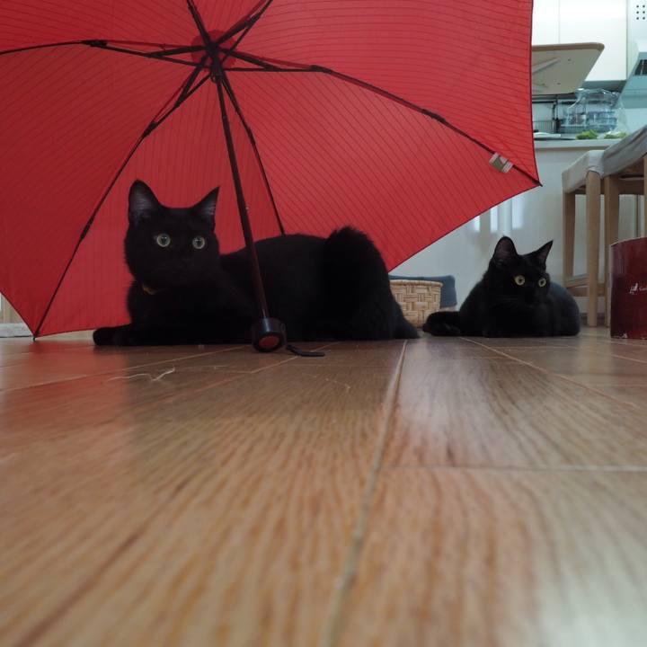 Cc514e68 866c 4d58 959d 51a92d025b94 1537770272291