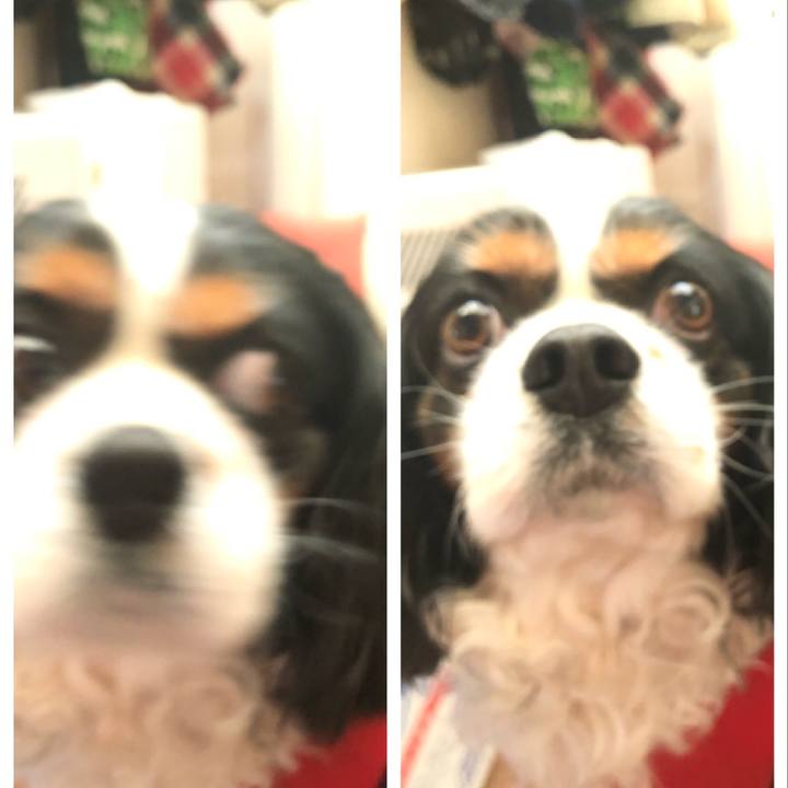 Cc515d54 a6b3 4b95 bc85 eaba3dc2ff82 1552701944269