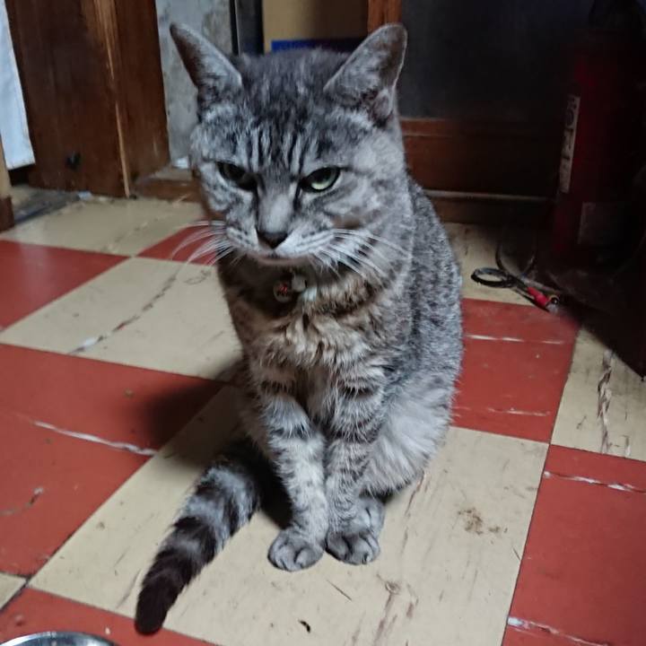 Cc515dc3 d4a6 4022 9eaa 995210bb7144 1571692324535