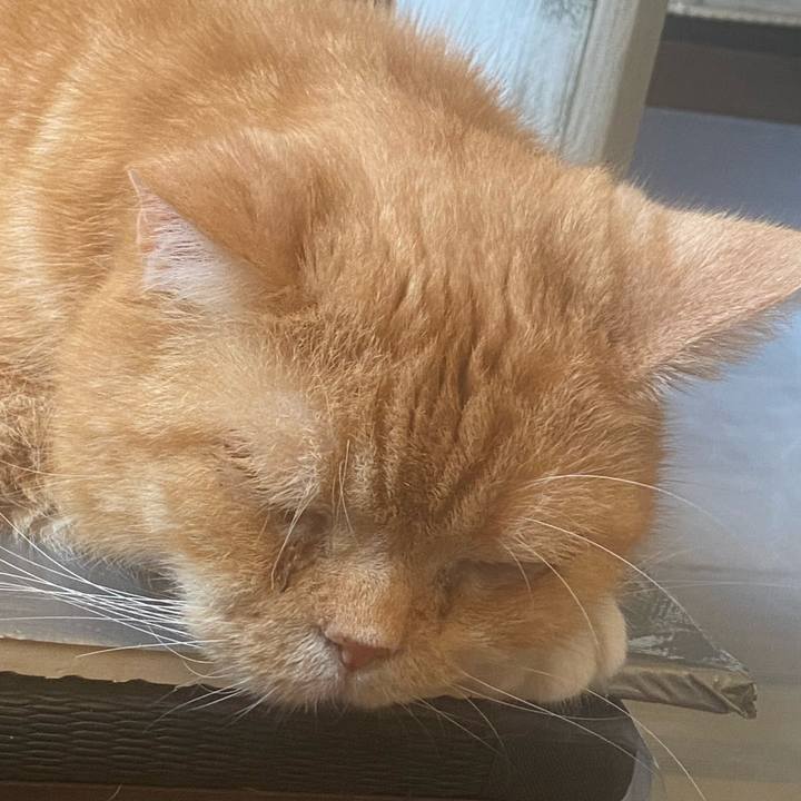 Cc517b46 d219 43f0 bec2 17e8bd6cc35d 1656118990792