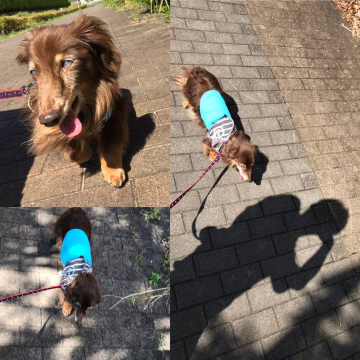 Cc51a798 0af2 4700 84a3 b06d76f7a36d 1558753781742