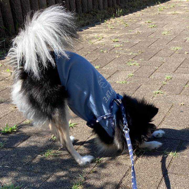 Cc51ee23 135a 414d a9aa 7d71fc2f24cd 1656168494087