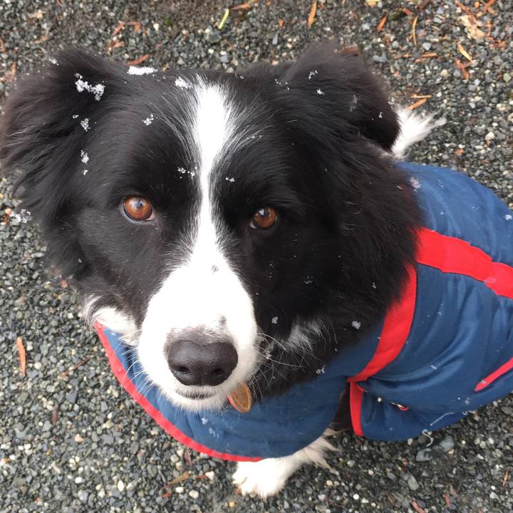 Cc520878 f00b 4b16 aff6 1ada12e5971c 1518394825617