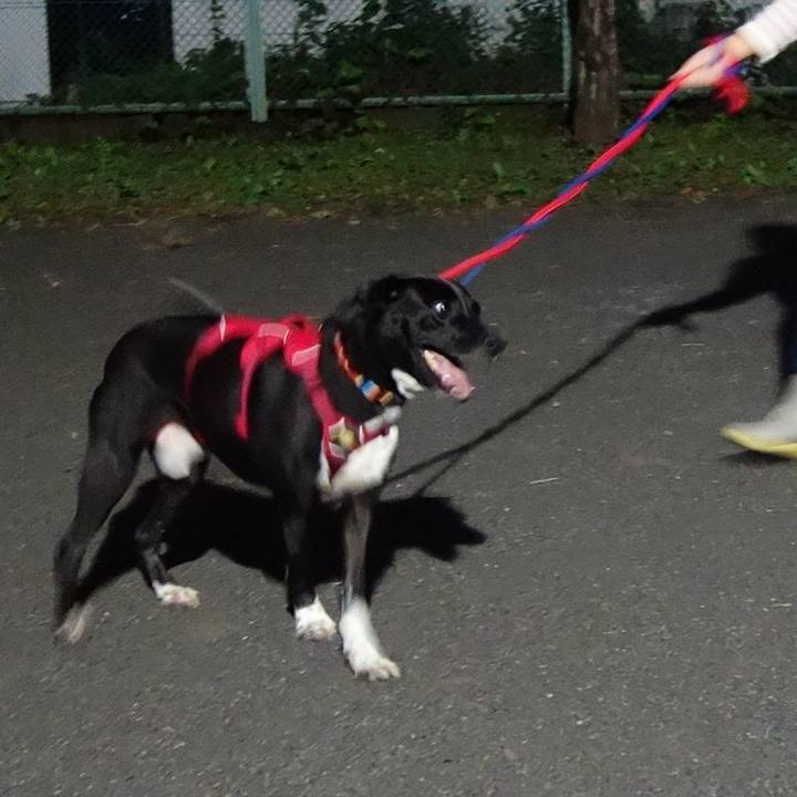 Cc520a72 50a4 4280 b9c2 80112888cd6e 1600857836045