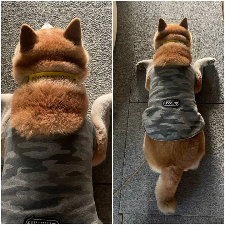 Cc5220e7 8078 45e4 9cee 77b4f42ac478 1680250177646