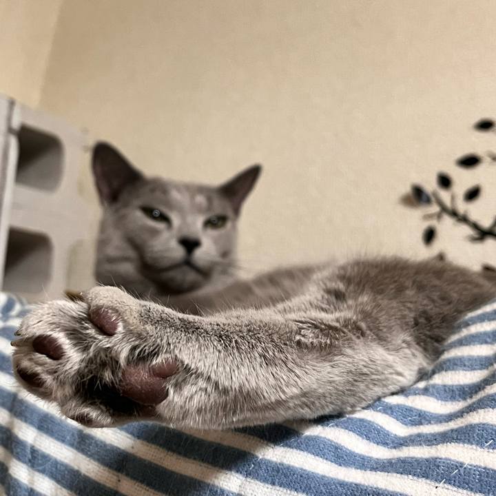 Cc52445b f0a2 43e5 ba95 02fe0e719239 1667252869080