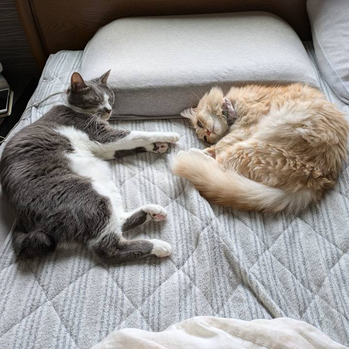 Cc52b587 c80d 4953 81ce 180acc504aba 1730170223177