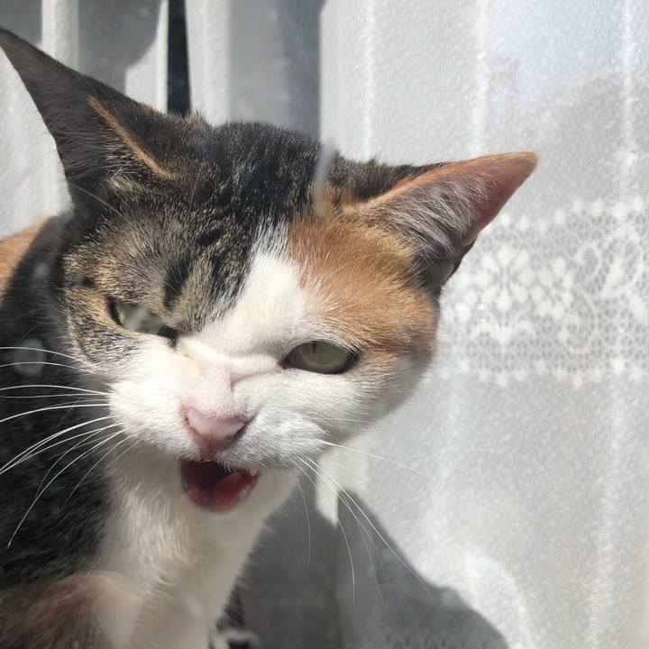 Cc5327fc e7d4 44ae a4a4 94d93f3134ec 1585113238338