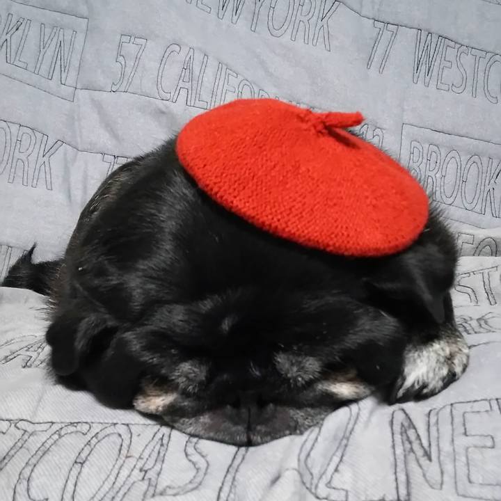 Cc533455 dc0d 4330 a4b5 da2a0b1baed6 1572436389176