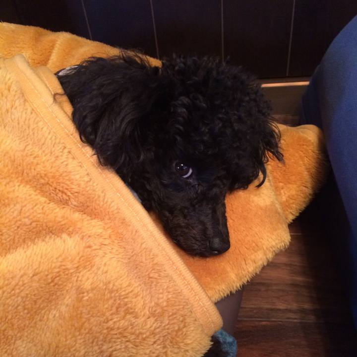 Cc537326 ad42 4c04 9a37 127cab12a01c 1542083148741