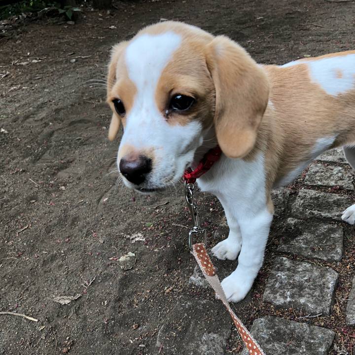 Cc53e155 9d3d 426d 9714 d4e737175eed 1562891620189