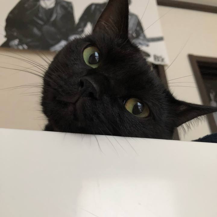 Cc5400ed 8a0b 4e71 a030 c9f9204c6183 1531128804387