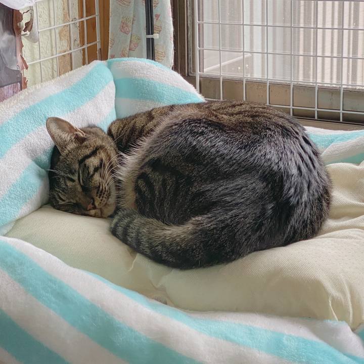 Cc544670 e58d 47e0 b580 f39f09940f21 1579053588281