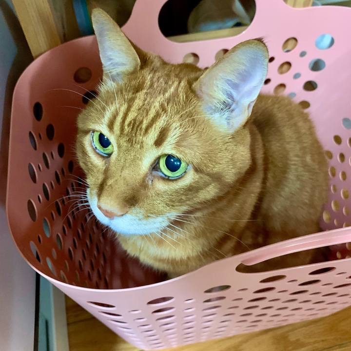 Cc5451a2 b40e 4a6c ae32 50596bff9fc6 1673183887852