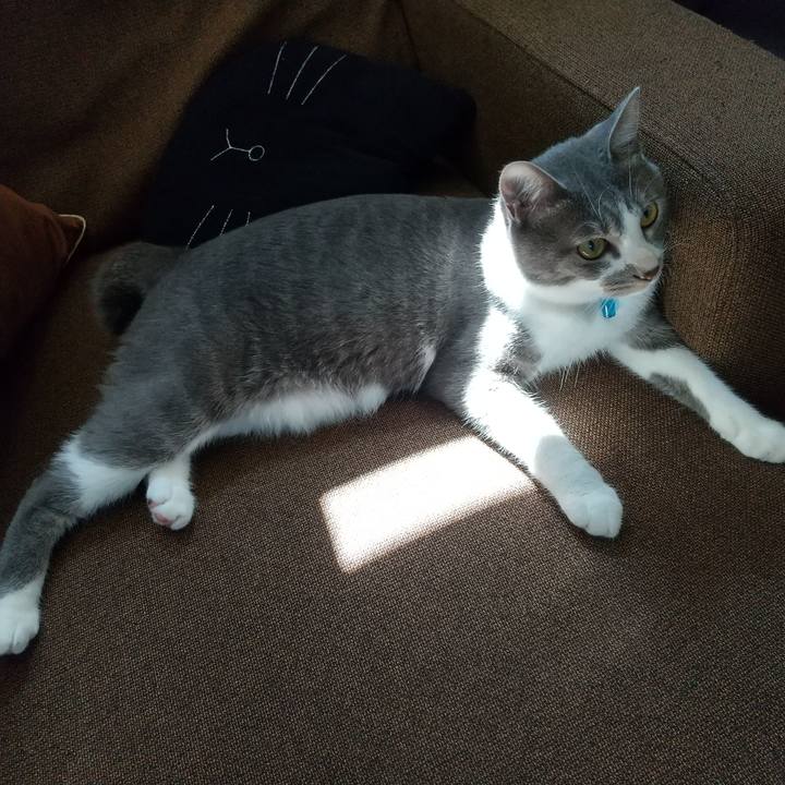 Cc54660b 323a 4bf2 8e17 134b5ea05c29 1597884118007