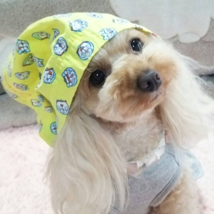 Cc547d24 dbad 410e 8ed6 b851042a4d75 1524563326022