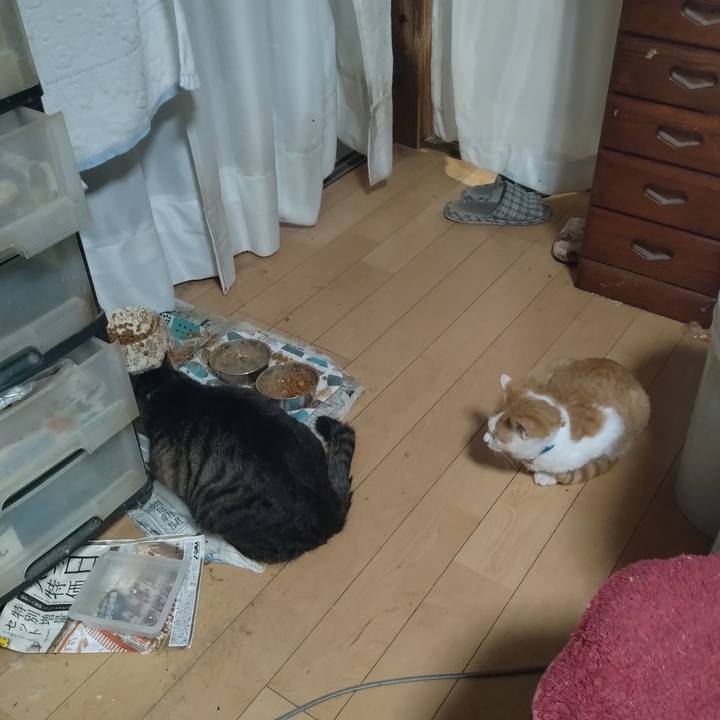 Cc548e76 2527 4251 9014 62f77ac43843 1732229037822