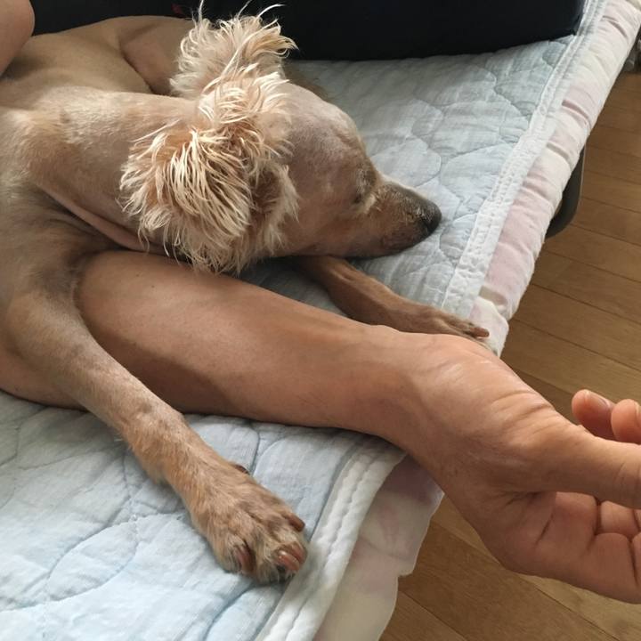 Cc549f81 267d 4ef6 8b6e 99a4cfefd344 1530656150357