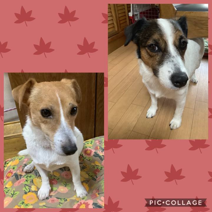 Cc54e07d 73f1 43cf b94c b41a91d4d37a 1570329172781