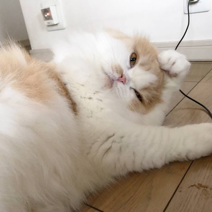 Cc54f7ae f7d5 4b91 a9f8 be925d9d61d7 1533474769975