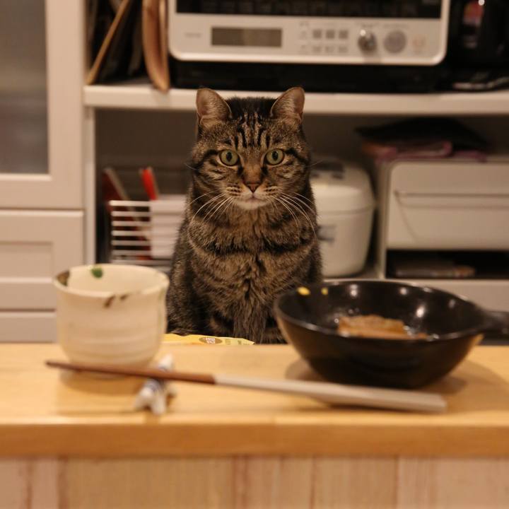 Cc551bab 2b63 4c1b ad96 4ba300e8f59c 1766842149749