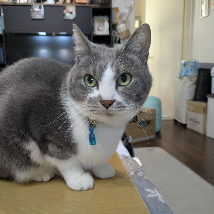 Cc553e0a 1328 496c 8905 4838535a5087 1766040312573