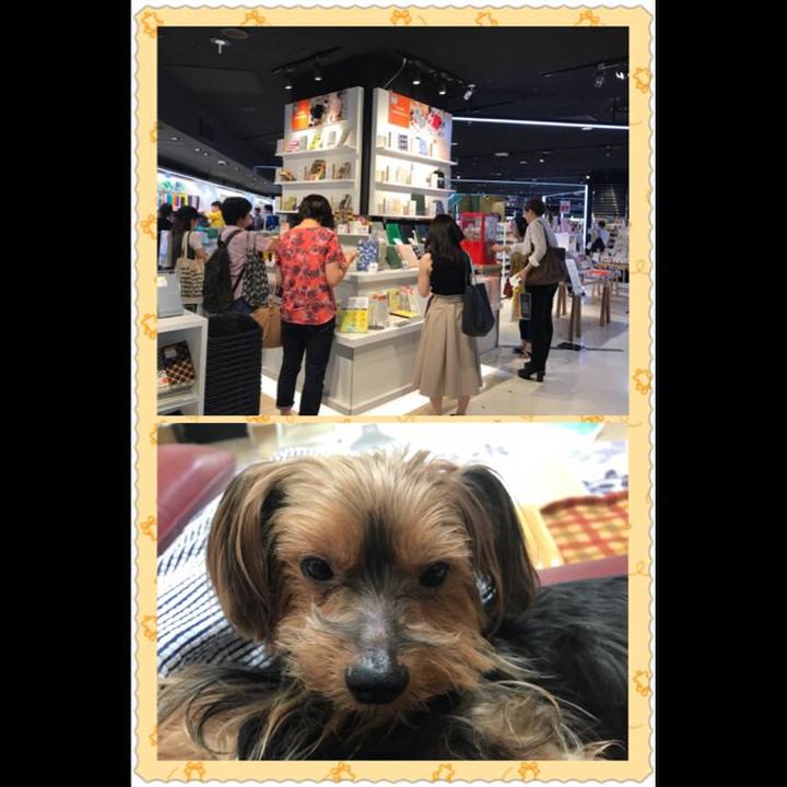 Cc557959 9818 47ae a1a8 ea8381a713e9 1535783507584